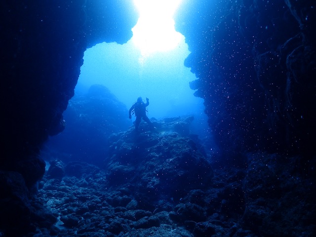 1111チンアナゴの日！糸満の海は今日もきれい！【R-MATES Okinawa Diving Club】