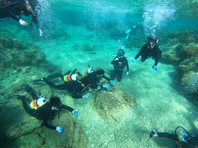 沖縄 体験ダイビング